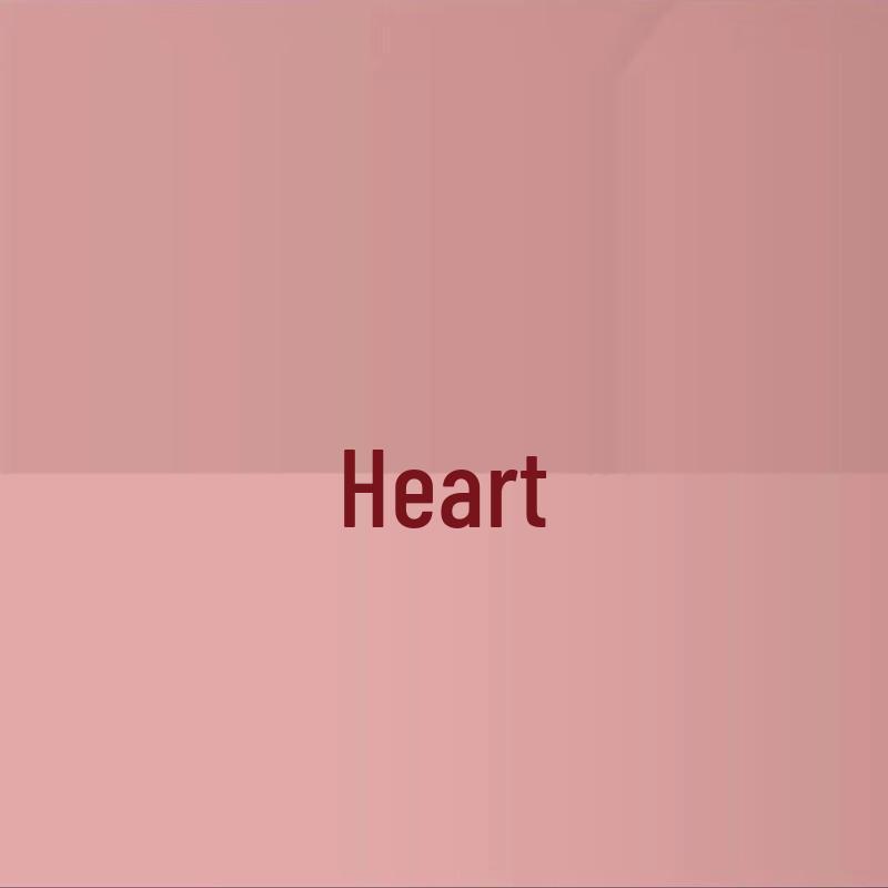 Dual-Mode Cordless & Roped Jump Rope