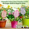Plant Watering Globes Planter Insert Spikes Devices Large Flower Shape Automatic Plastic Self Drip Indoor Outdoor Tool
