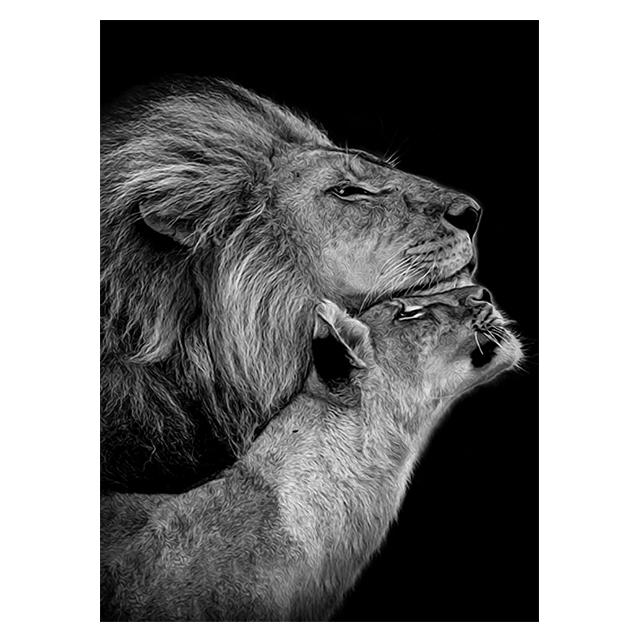 Animals Black And White Lions Love Family Prints Poster Canvas Painting Modern Wall Art Pictures Living Room Bedroom Home Decor