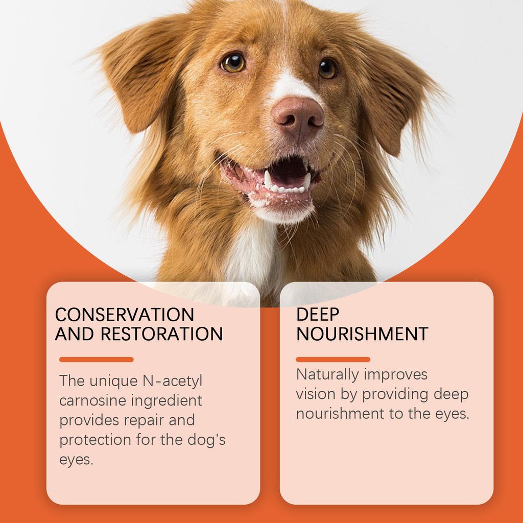 best dry lubricant for bike chain Eye Drops for Dogs main image 1