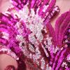 Patch Sequin Embroidery Sequin Appliques Phoenix Tail DIY Sew On Patch Embroidery Patch Wedding Gown DIY Decoration