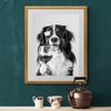 Funny Animal Collies Drinking Champagne Minimalist Animal Portraits Poster Canvas Paintings Wall Art Pictures Home Decor