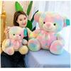 Rainbow Bear Plush Toy With Soft Cotton Material For Kids And Birthday Gift