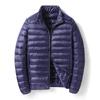 Men's Gray Lightweight Short Down Jacket - 2024 Autumn/Winter Trendy Casual Style