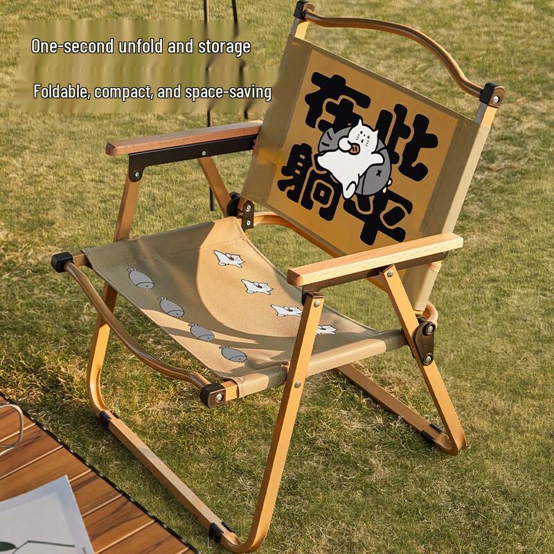 Aoran Portable Outdoor Folding Chair