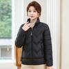 Women's Cotton Coat Parker Winter Jacket  New Short Stand Collar Keep Warm Fashion Outerwear Top
