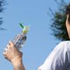 Strix Design Pocket Straw, Made In Japan, with Adjustable Joint and Replacement Straw, Green, One-Handed Opening, One-Touch Opening, PET Bottle Straw