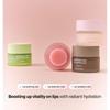 KLAVUU - Nourishing Care Lip Sleeping Pack - 4 Types