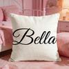 BBelleS Classic Brand Cushion Cover Premium Comfort Reversible Pillow Cove Two In One Design For Any Room  Car Interior