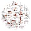 Yoga Posture Stickers & Cards: Wellness Exercise Tools for Home or Studio