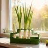 A planter, a special regenerative planter designed for chives, repeated hydroponics