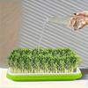1set Efficient Germination Nursery Pots For Peas Beans Wheat Fast Harvest Seed Sprout Nursery Tray Gardening Accessories