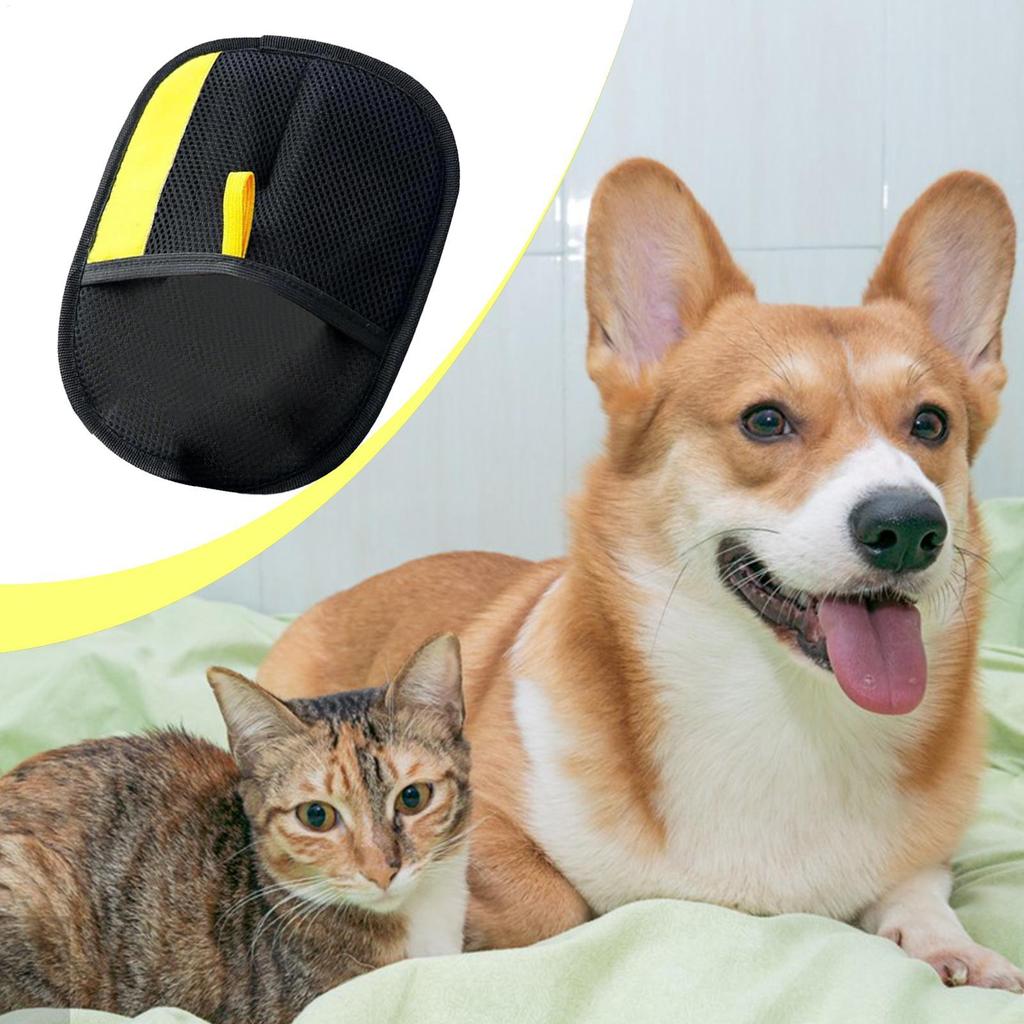 Pet Hair Cleaning And Collection Gloves Pet Double-sided Multi-functional Beauty Glove Tool Reduce The Pressure Of Pet Ownership