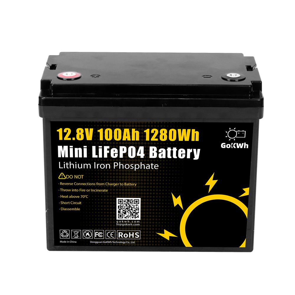 GoKwh 12.8V 100Ah LiFePO4 Battery