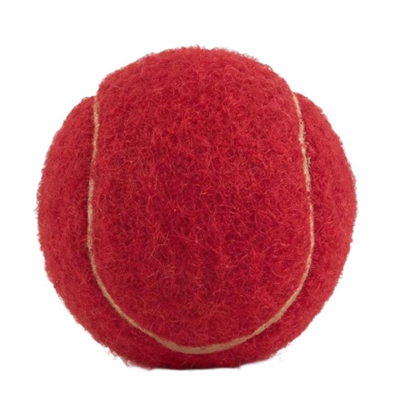 Durable Rubber Tennis Ball Dog Toy, Squeaky Bouncy Pet Chew Toy for Puppy, Interactive Fetch Toy for Small Medium Large Dogs