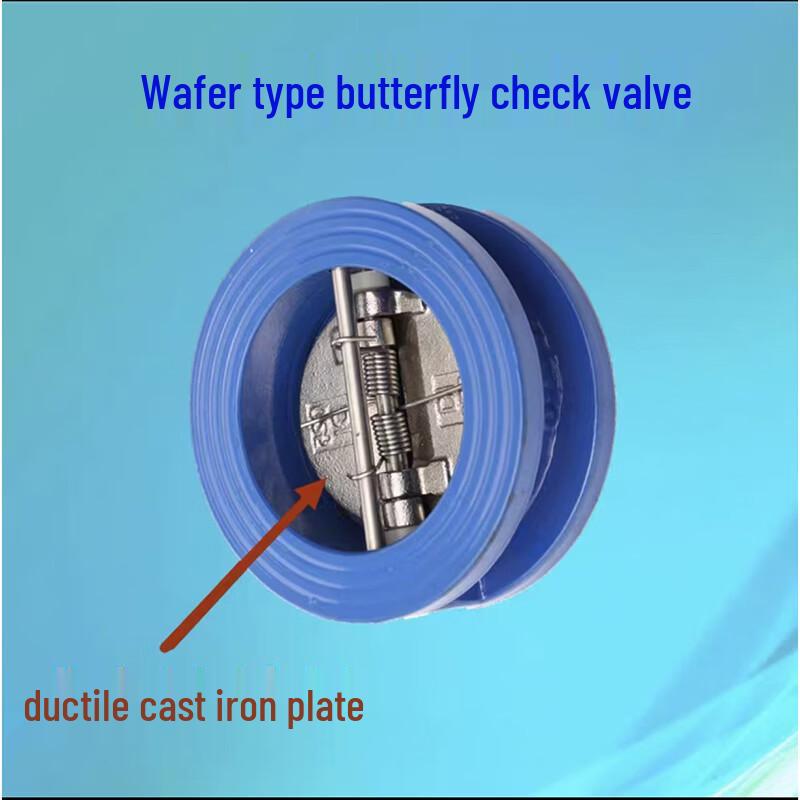 

Rongyu DN50 Check Valve