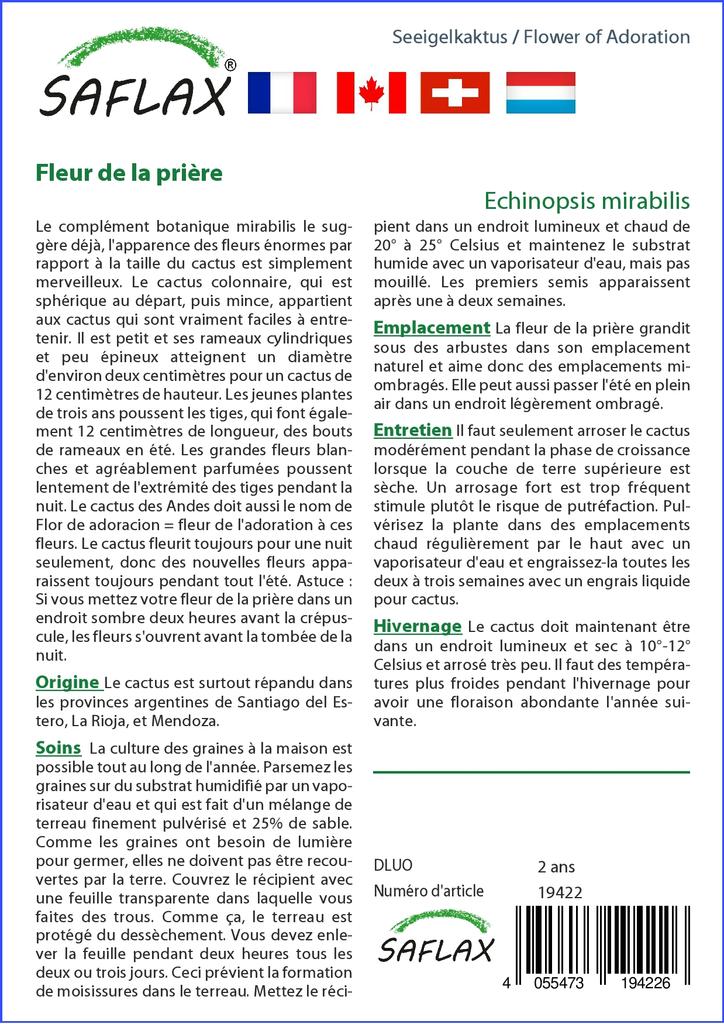 SAFLAX Garden In the Bag - Flower of Adoration - 40 Seeds - With Substrate In a Fitting Stand Up Bag - Echinopsis Mirabilis