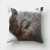 Cute Cat Print Decorative Cushions Pillowcase Polyester Cushion Cover Throw Pillow Sofa Living Room Decoration Pillowcover