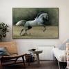 Horse 5D DIY Diamond Painting Rhinestone Art Picture Cross Stitch Kit Full Diamond Embroidery Mosaic Animals Home Decor Gifts