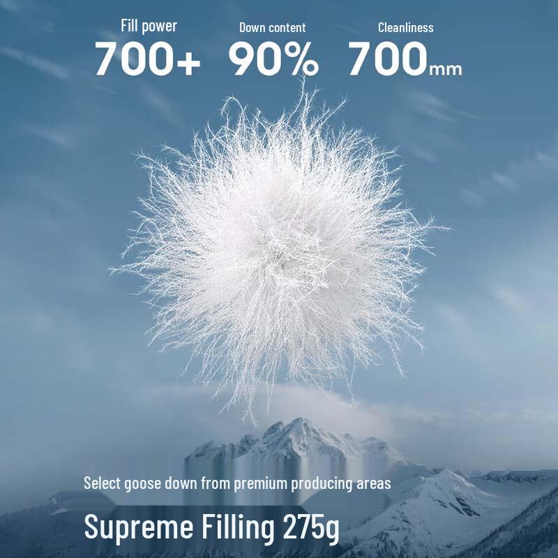 BOSIDENG Goose Down Extreme Cold Warm Jacket B250242211