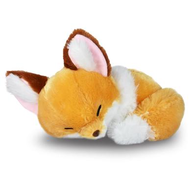 Chokon und der Fuchs zusammengerollt und schläfrig JB kinako 705038