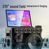 SANSUI Q065 Portable Outdoor Karaoke System with Display CN Plug (adapter Included)