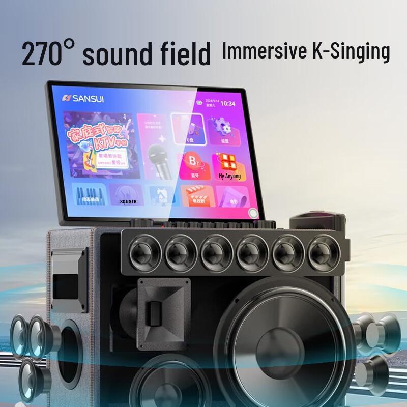 SANSUI Q065 Portable Outdoor Karaoke System with Display CN Plug (adapter Included)