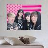 VIKAMA European And American Emo Band Tapestry Pink Flag Punk Style Rock Room Decoration Wall Cloth Room Decoration