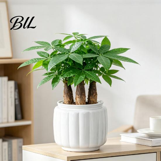 Living Room Plant Pot Self Watering Pots for Indoor Plants, Plastic Planter with Drainage Modern Home Decor Holes, Small Flower Houseplants,