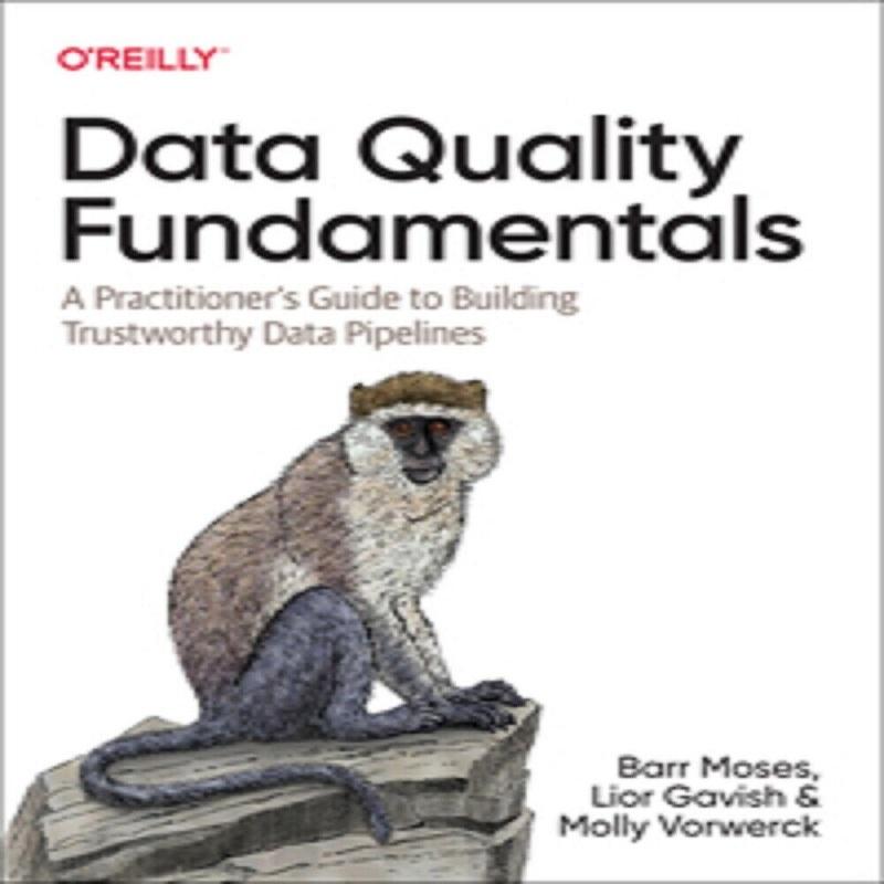 Oreilly Data Quality Fundamentals Paperback