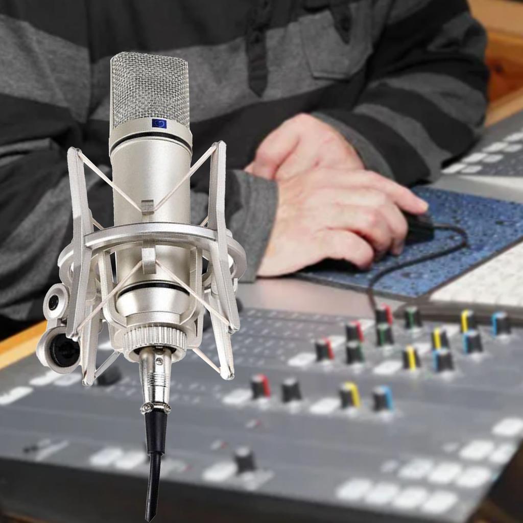 Condenser Microphone 48V Professional Large Diaphragm for Singing Live Streaming