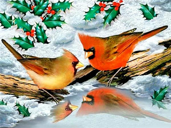 Diamond Art Painting Bird Snow Home Decor Square/round Embroidery Mosaic Animal Winter 5d Diy Wall Sticker