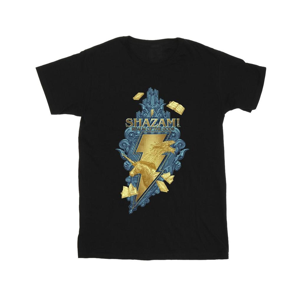DC Comics Mens Shazam Fury Of The Gods Golden Animal Bolt T-Shirt