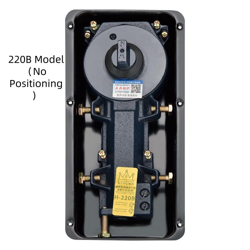 Frameless/Framed Door Model 220B/818/222/322 Glass Door