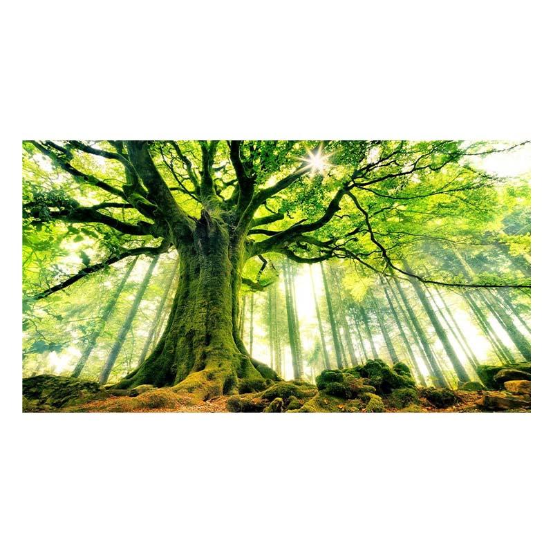 Водопад Живописный Мангровый Лес Пейзаж Холст Настенное Искусство Холст Картины Домашний — фото 20