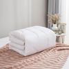 Luolai Laixinya Soft Silk Four Seasons Duvet