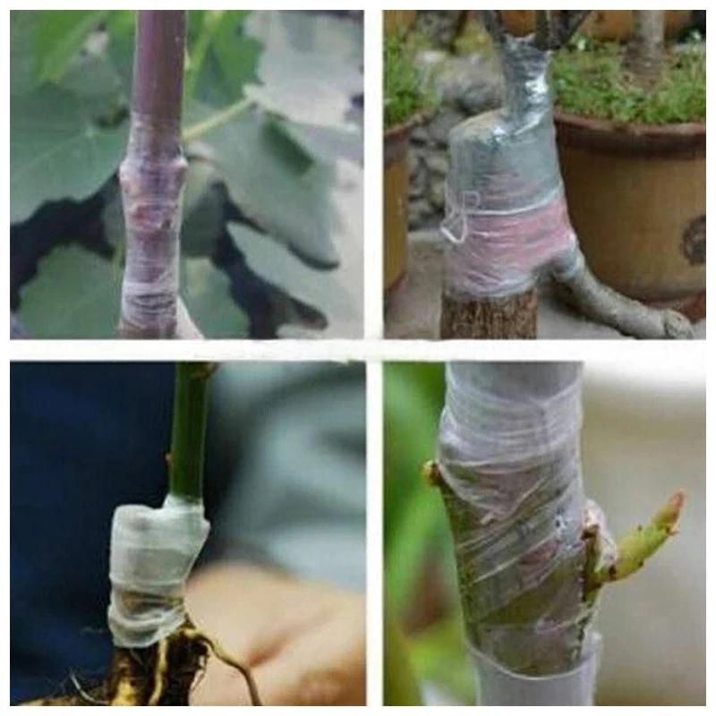 PE Grafting Tape Film Self-adhesive Garden Tree Plants Seedlings Vine Tomato Grafting Accessories Stretchable 2/3/4cm Width