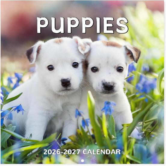 2026-2027 Calendar - 18-Month Wall Calendar 2026-2027 Dog Calendars from Jan. 2026 - Jun. 2027, Calendar 2026 with Unruled Blocks, Holidays, 12  x