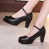 Size 32-43 Women High Heel Shoes Round Toe Thick Heel Wedding Party Shoes Platform Women Pumps Women Offfice Shoes 8cm/10cm/12cm