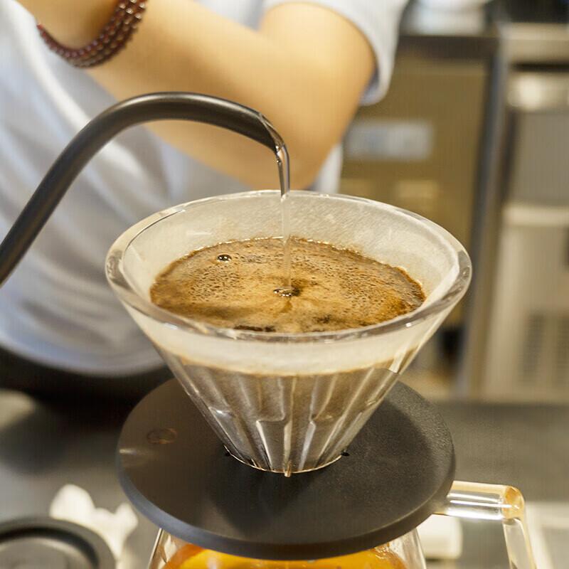 Timemore Timemore Fish Pure Pour-Over Coffee Maker, Home Use Pour-Over Kettle, Long Spout Narrow Mouth Kettle