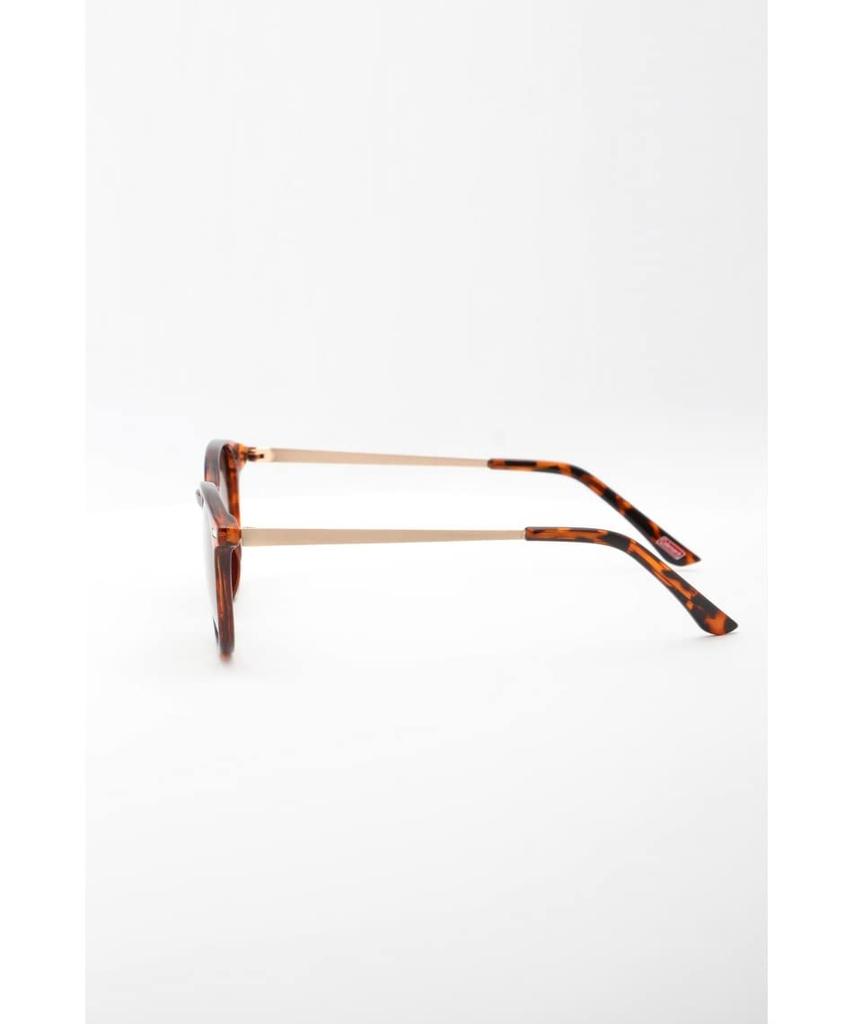 Coleman Polarized Sunglasses for Women SUNGLASS BK CLA08-2