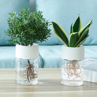 2 ks Mini hydroponický květináč Opakovaně použitelný Průhledný hydroponický květináč Stolní bezpůdní květináče na rostliny pro kancelářskou domácí dekoraci