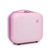 Champion Capsule Carry-on Suitcase