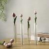 3/4 Transparent Striped Ribbed Glass Test Tube Vases for Floral Arrangements Plant Holder Container Home Office Decors
