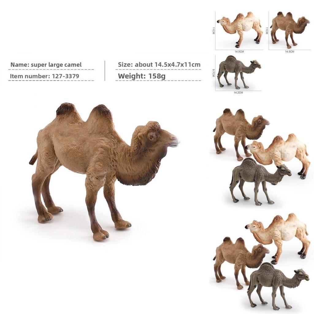 Animal Wildlife Pvc Model Single Hump Camel Decorative Toy For Kids Educational Gift