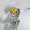 New Ladies  Accessories Aquamarine Gold Morgan Pink Morsan Diamond High carbon Zircon Ring