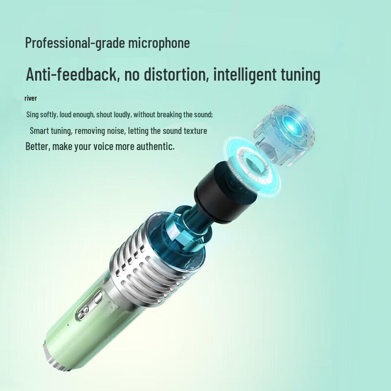 Portable Karaoke Bluetooth Speaker System