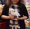 HANSA Plush Animal Sheep 4562 No.