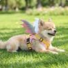 Engelsflügel Hundegeschirr Einfach zu bedienen mit Flügeln Regenbogen für Hunde