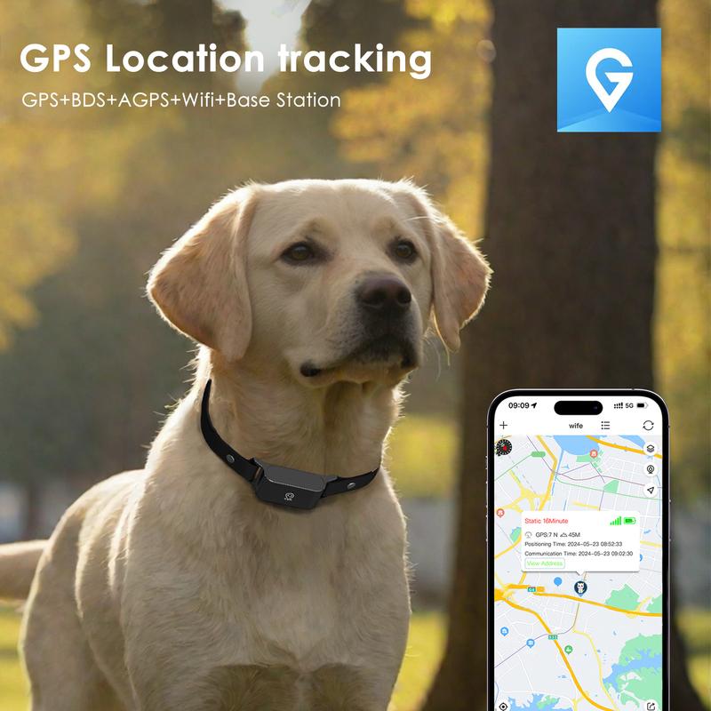 Wasserdichter 4G SIM GPS-Locator Lange Standbyzeit Anti-Verlust-Tracker Halsband Echtzeit-Ortung für Hunde